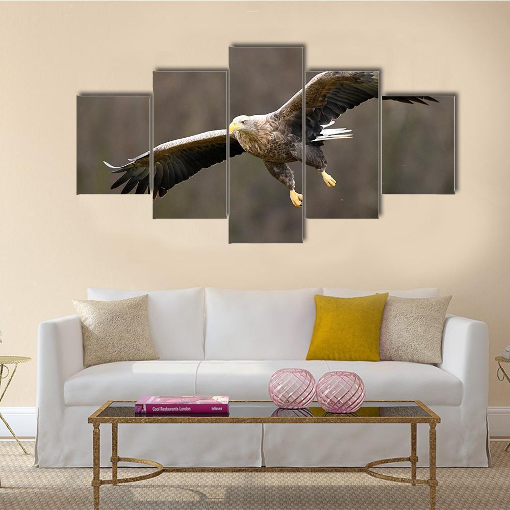 White Tailed Eagle Haliaeetus Albicilla - Animal 5 Panel Canvas Art Wall Decor White Tailed Eagle Haliaeetus Albicilla - Animal 5 Panel Canvas Art Wall Decor