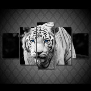 White Tiger 20- Animal 5 Panel Canvas Art Wall Decor
