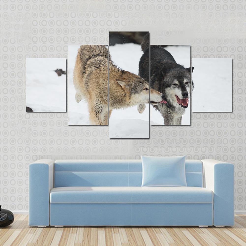 Wolves Couple Making Love In Snow - Animal 5 Panel Canvas Art Wall Decor Wolves Couple Making Love In Snow - Animal 5 Panel Canvas Art Wall Decor