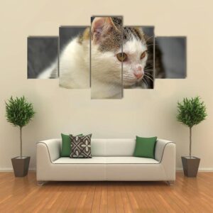 Young Cat With A Peeled Nose - Animal 5 Panel Canvas Art Wall Decor