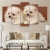cute two small dogs - Animal 5 Panel Canvas Art Wall Decor