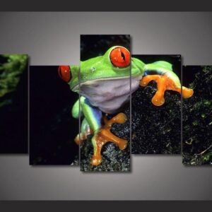 red eyed tree frog 01 - Animal 5 Panel Canvas Art Wall Decor