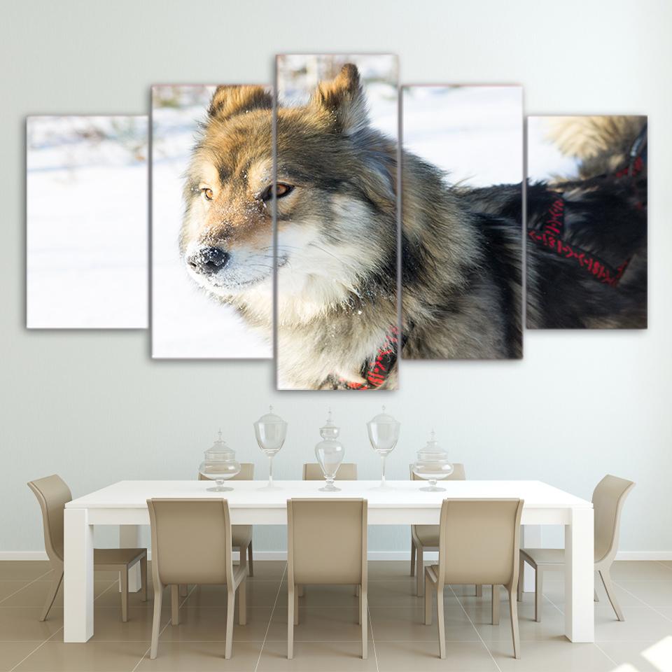 wolf dog in harness racing - Animal 5 Panel Canvas Art Wall Decor wolf dog in harness racing - Animal 5 Panel Canvas Art Wall Decor